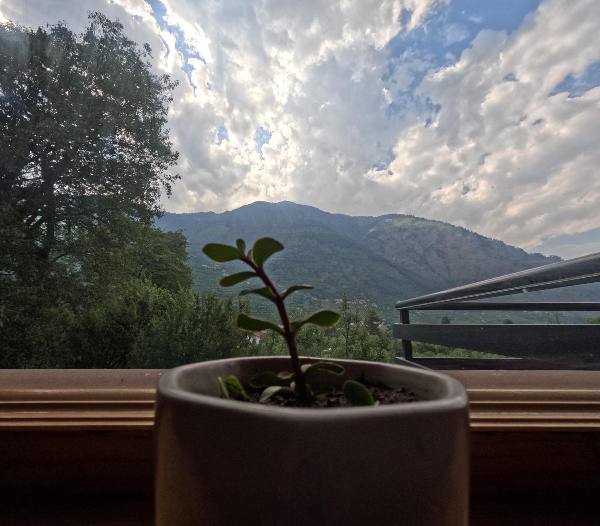 Saanjh - A Serene Retreat Manāli Exterior foto